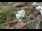 Trip to Catsburg Bluffs