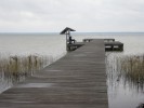 Lake Waccamaw & Myrtle Head Savannah