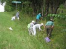 Harrelson Tract Workday