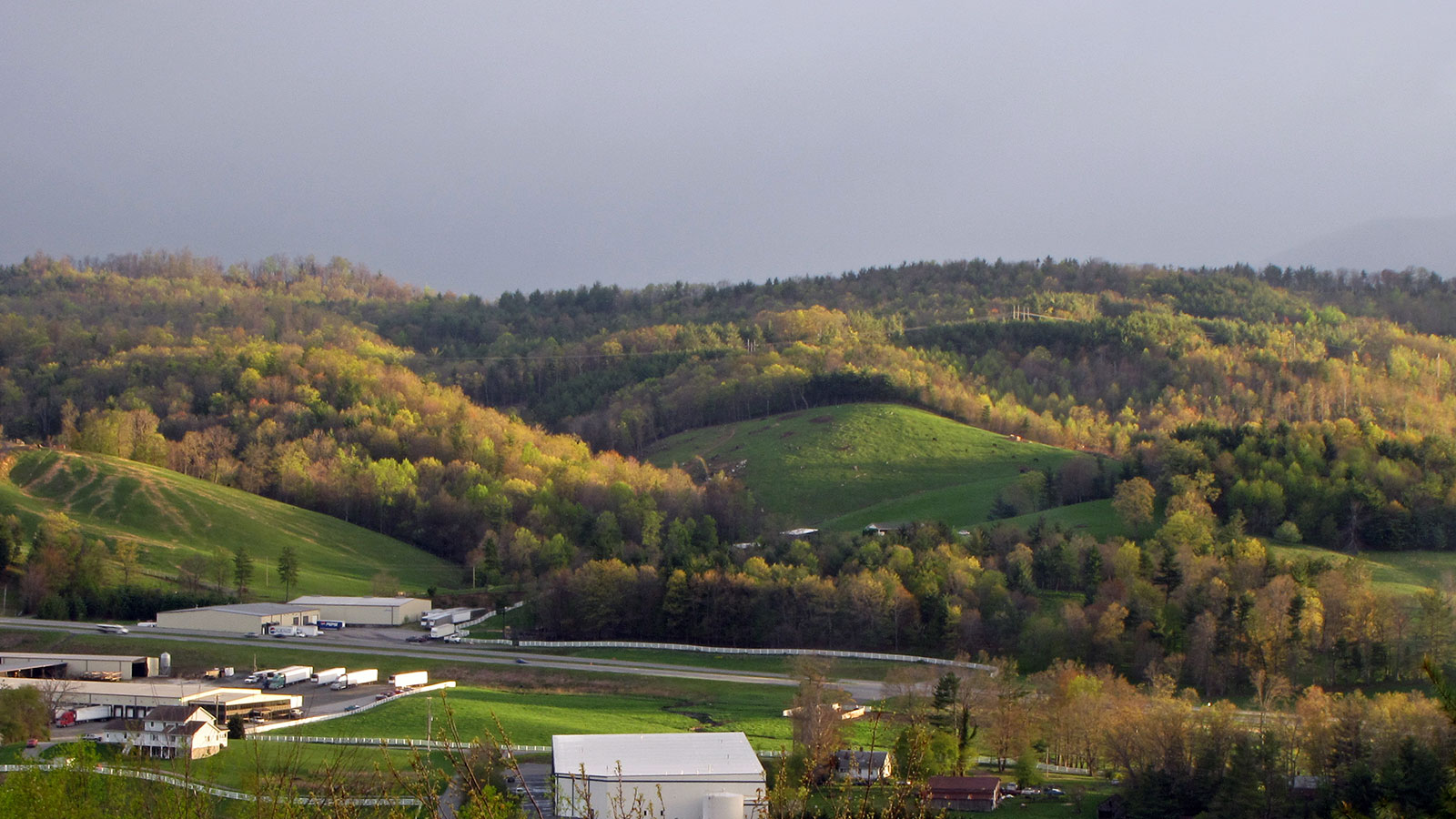 Blue Ridge Chapter North Carolina Native Plant Society