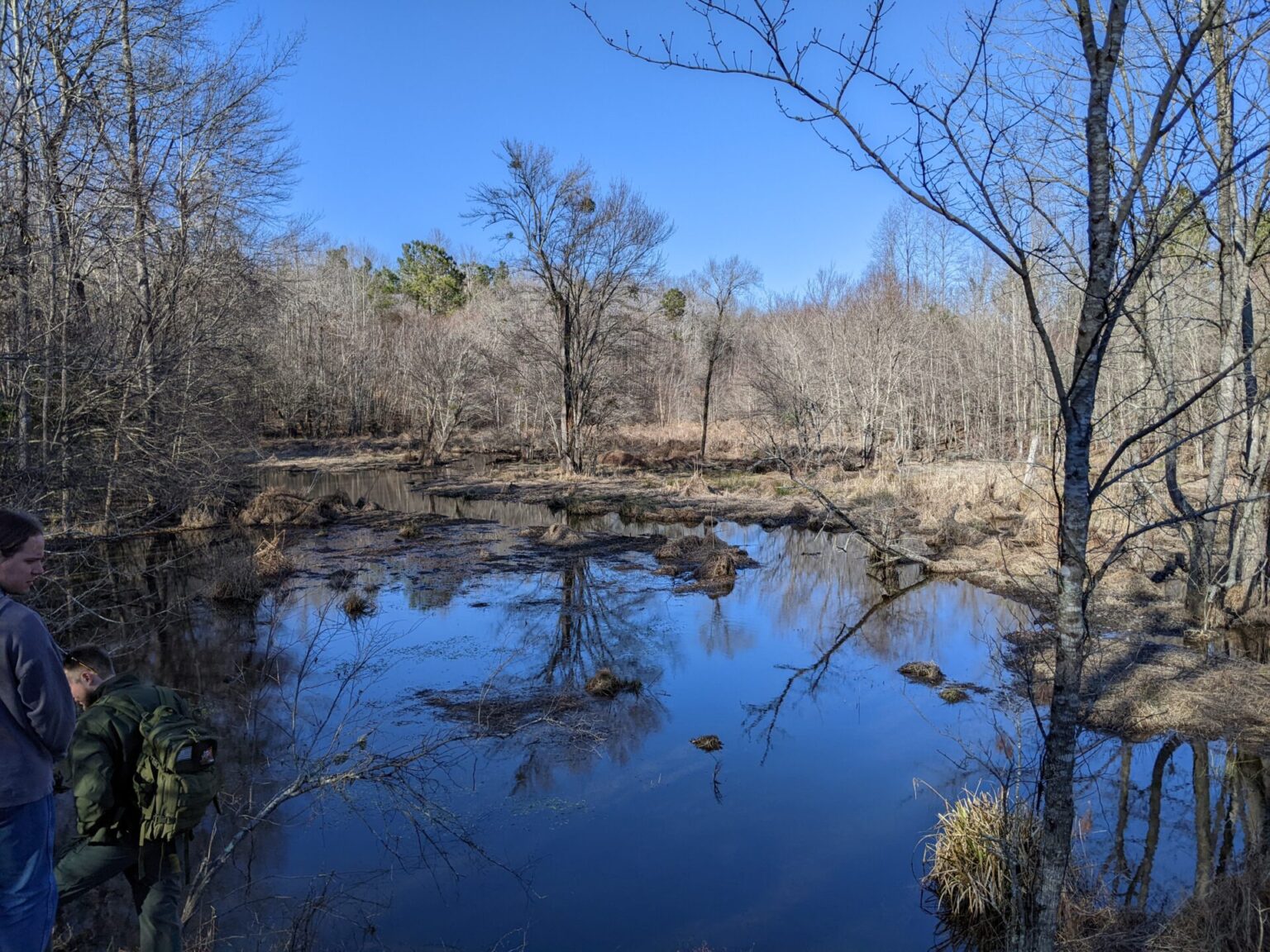 262022 Turnipseed Nature Preserve North Carolina Native Plant Society