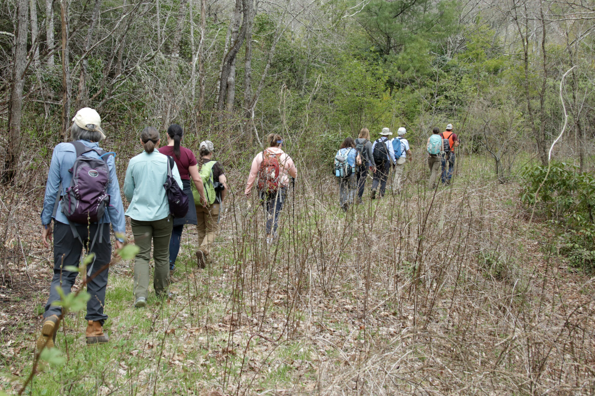 Members head out on a guided hike