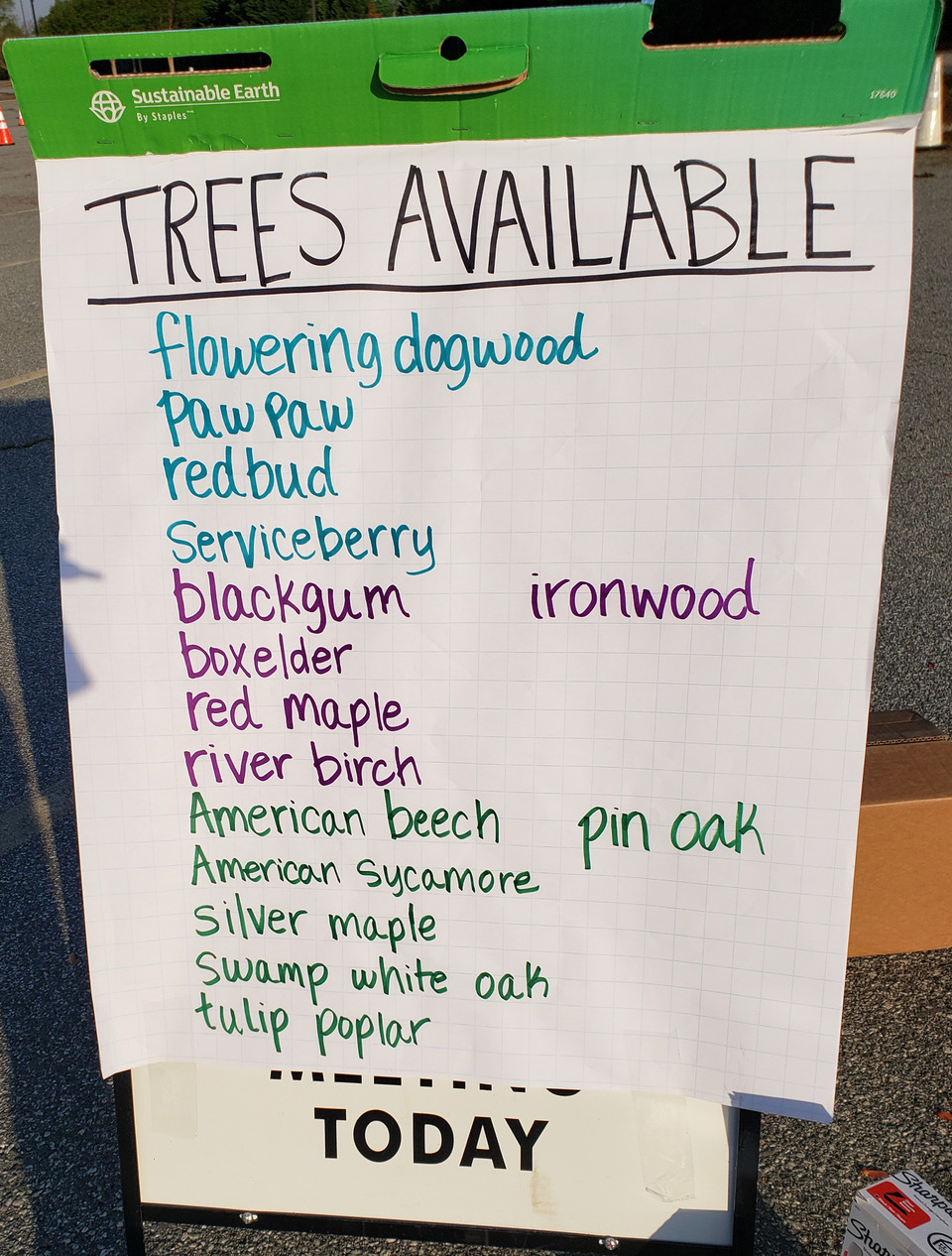 A list of flowering trees for replacement of Bradford Pears
