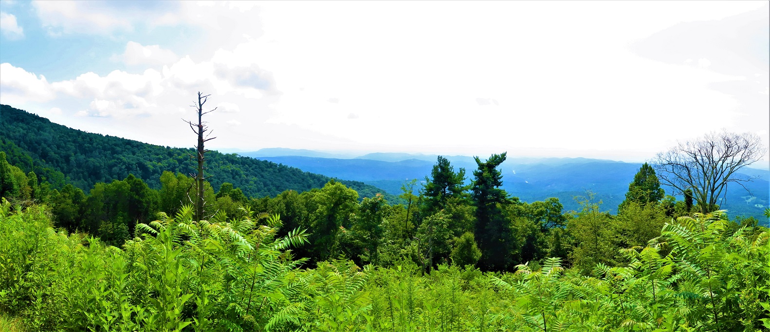 Elk Mountain Overlook