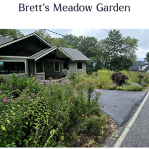 Meadow garden at the home of Brett Hopkins