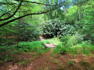 Bridge above Heart Pond