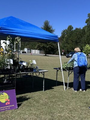 Carolina Habitats