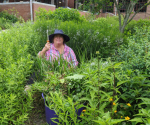 Debbie Roos in the Pollinator Paradise Garden in Pittsboro, NC