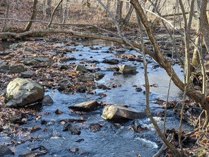 Eno River Confluence Natural Area