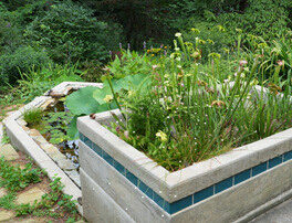 Evelyn-Jackson-Garden