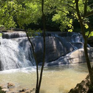Fall Creek Falls at Mayo River State Park by Amy Ehrhardt on All Trails