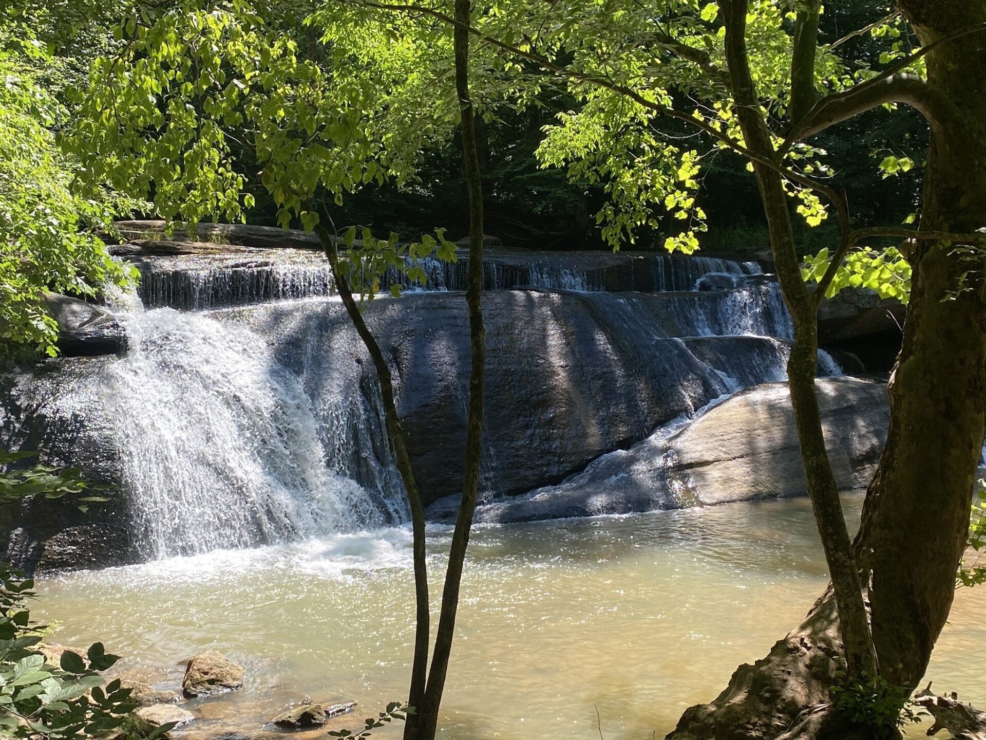 Fall Creek Falls at Mayo River State Park by Amy Ehrhardt on All Trails