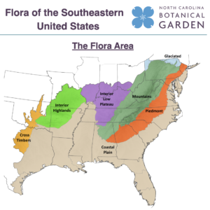 Flora of the Southeastern US