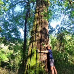 Haw Preserve