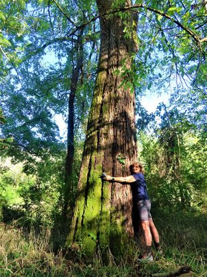 Haw Preserve