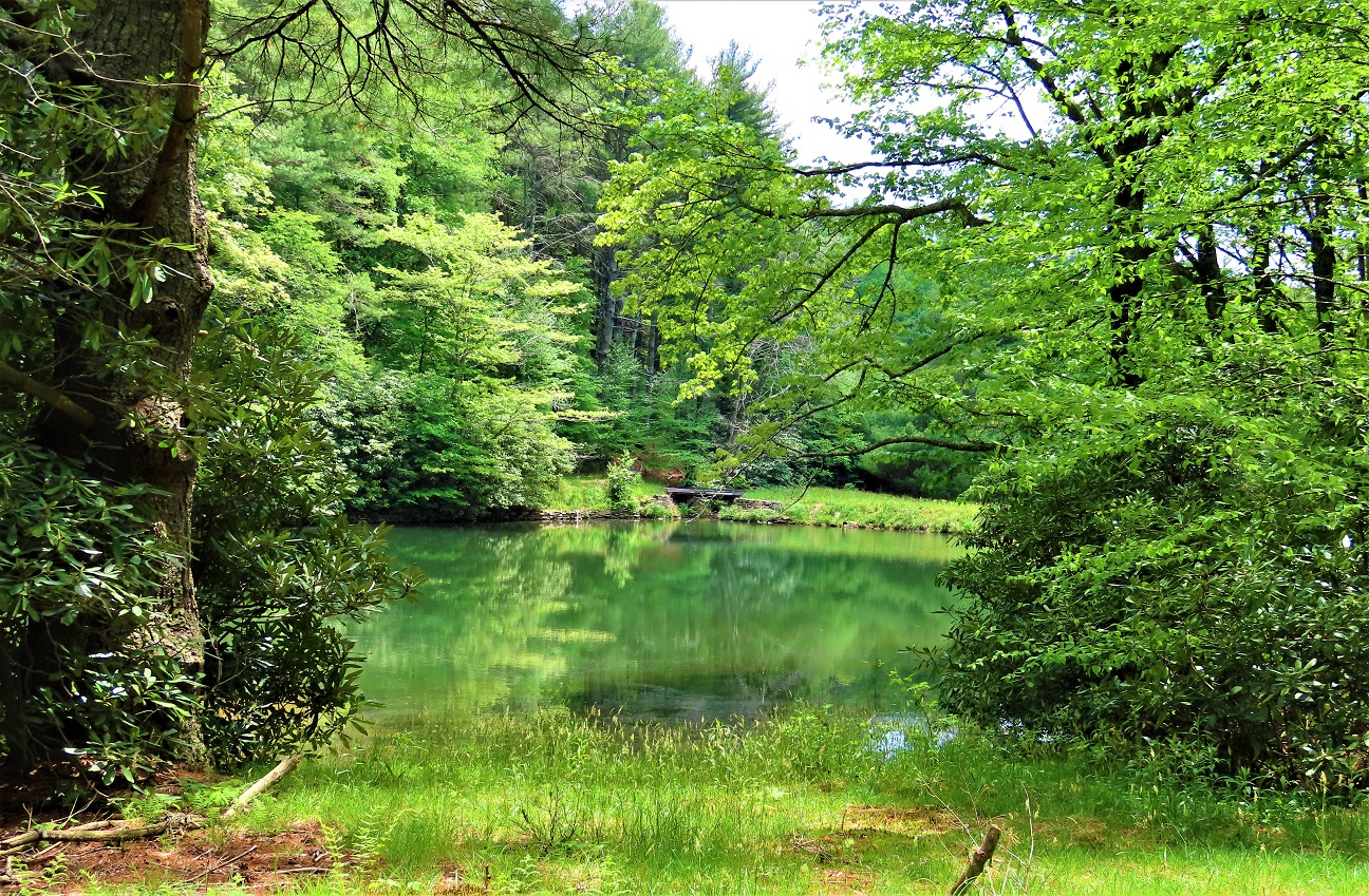 Blue Ridge Chapter - Bass Lake