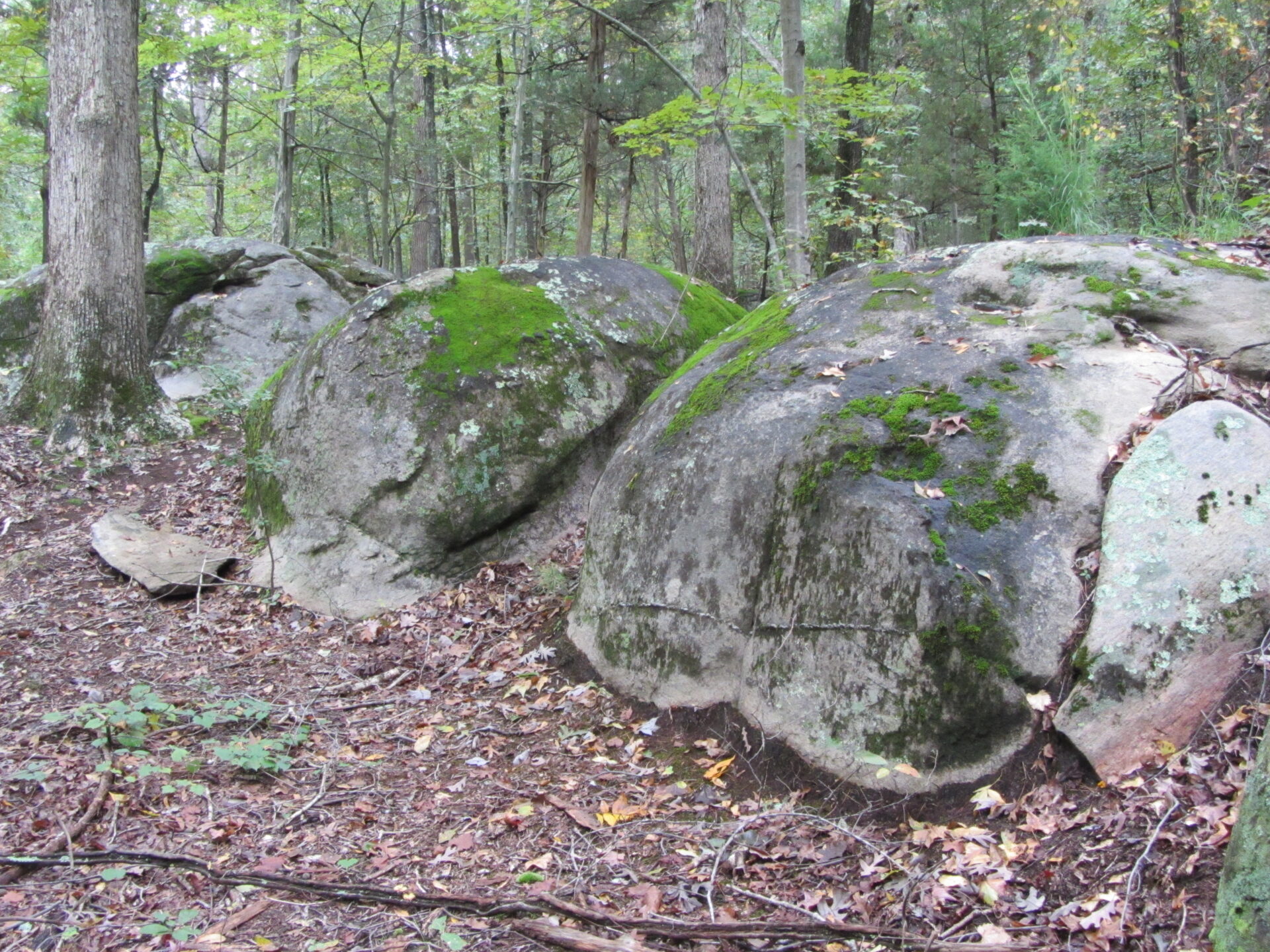 Annie Louise Wilkerson MD Nature Preserve Park