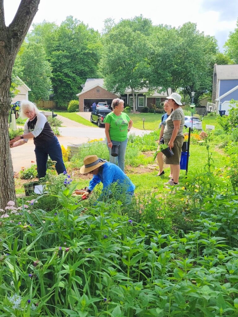Gardeners showing off their native plants