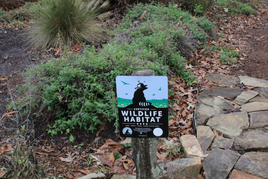 Forest Ridge Park wildlife garden