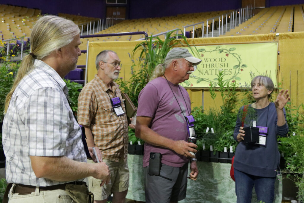 Cullowhee native plants for sale