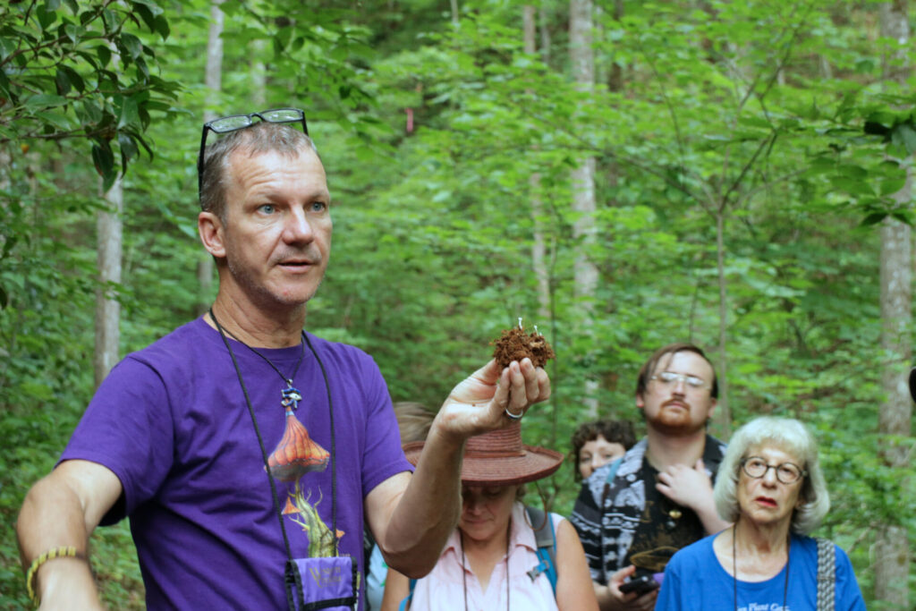 Cullowhee Looking at fungus