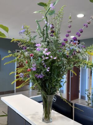 Native Plant Flora Display