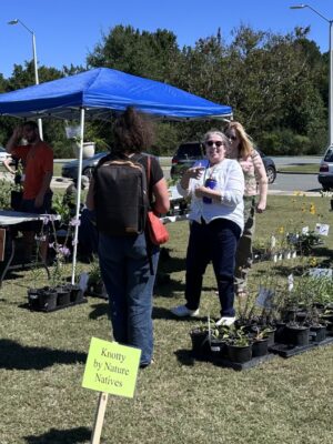 Knotty by Nature Nursery