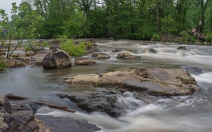 Lower Haw River