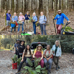 Saving mosses and ferns