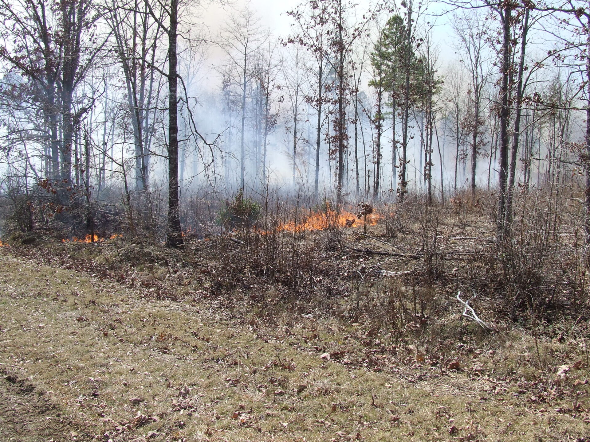 Wildlife Conservation Land Program Property Tax Deferment to Benefit