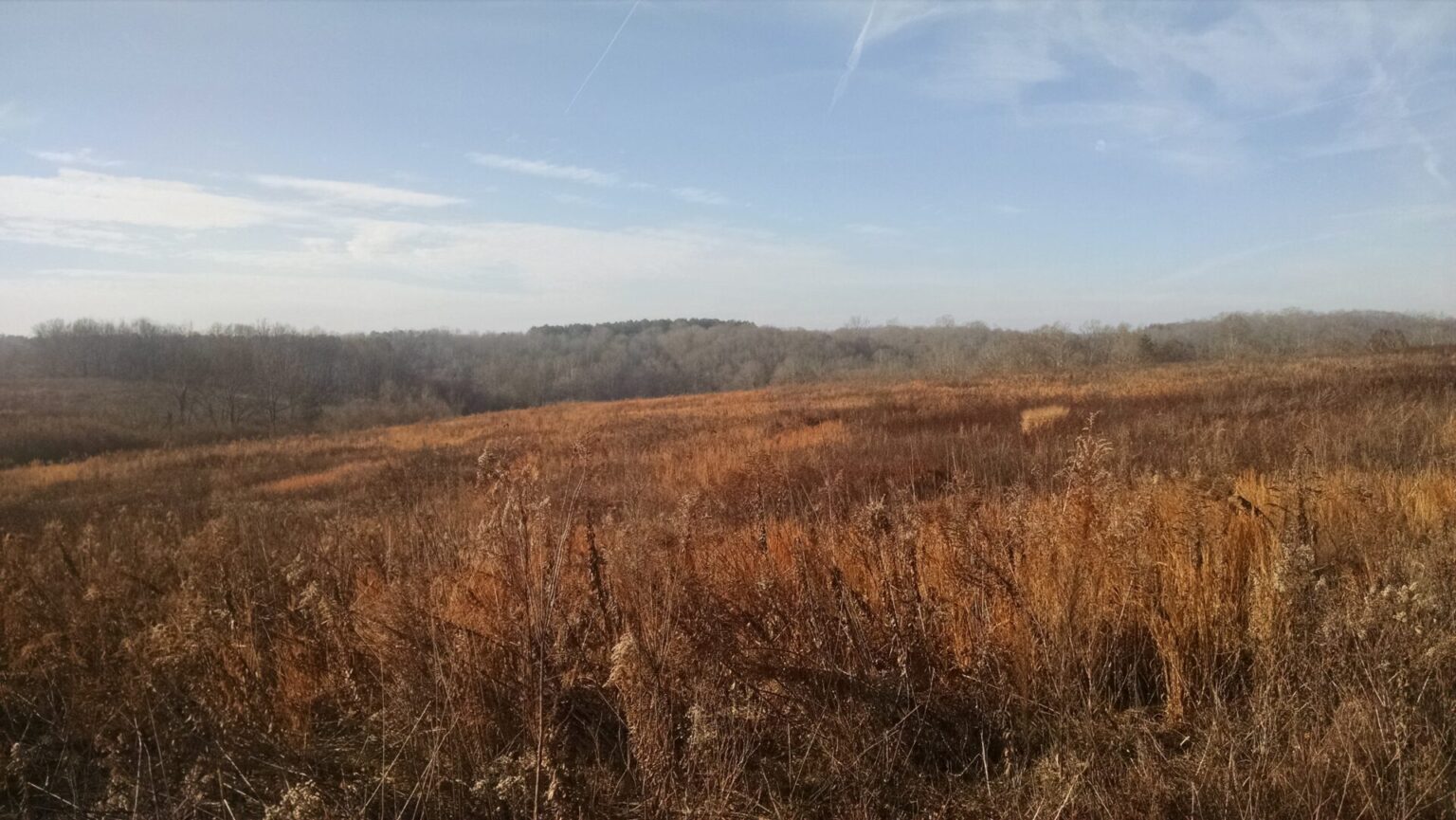 Wildlife Conservation Land Program Property Tax Deferment to Benefit