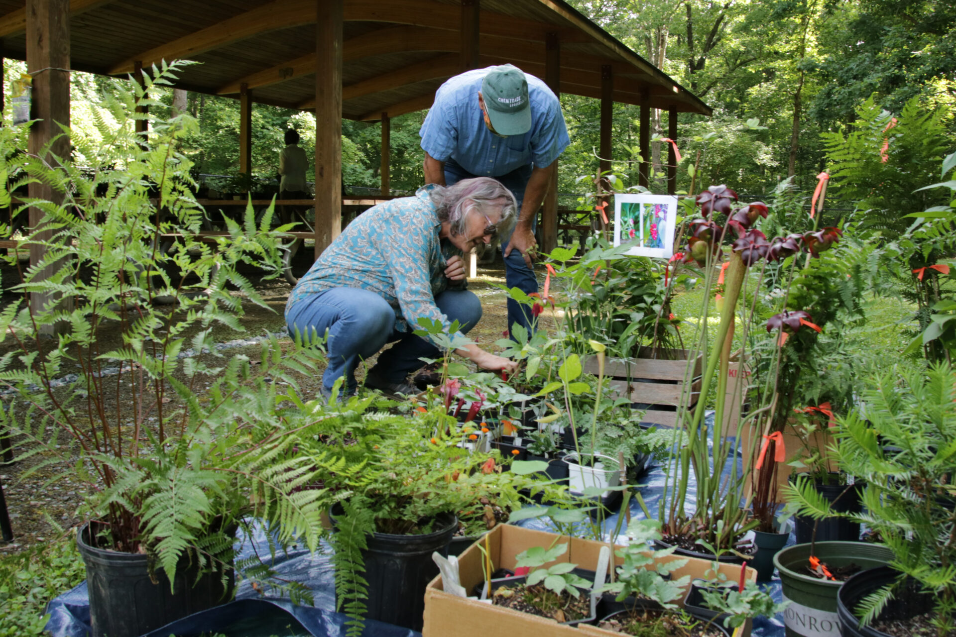 Plant sale at 2021 picnic