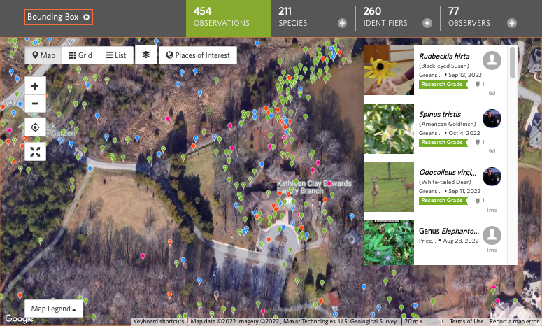 screenshot of iNaturalist observations at Kathleen Clay Edward Library