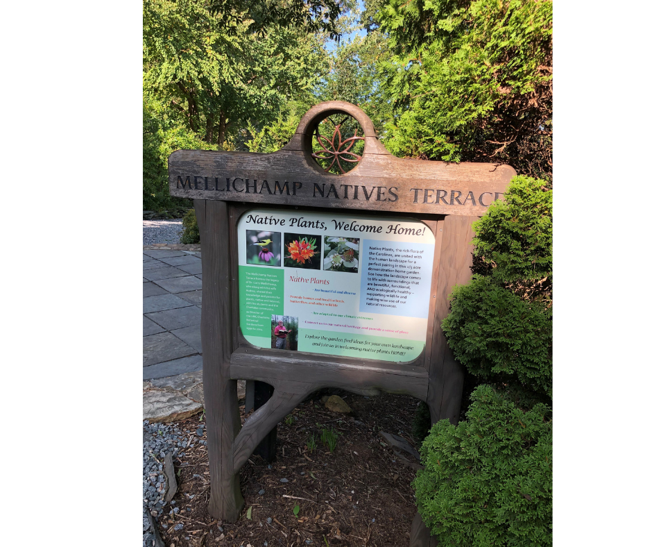 Mellichamp Natives Terrace