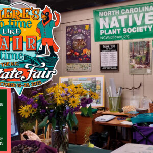 banner page 2025 Fair