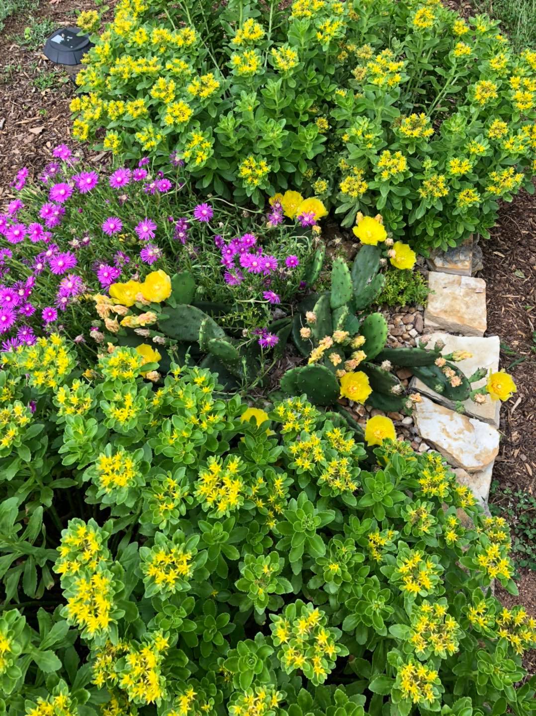 Native Plant Nurseries North Carolina Native Plant Society