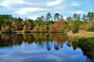 Clemmons State Oark
