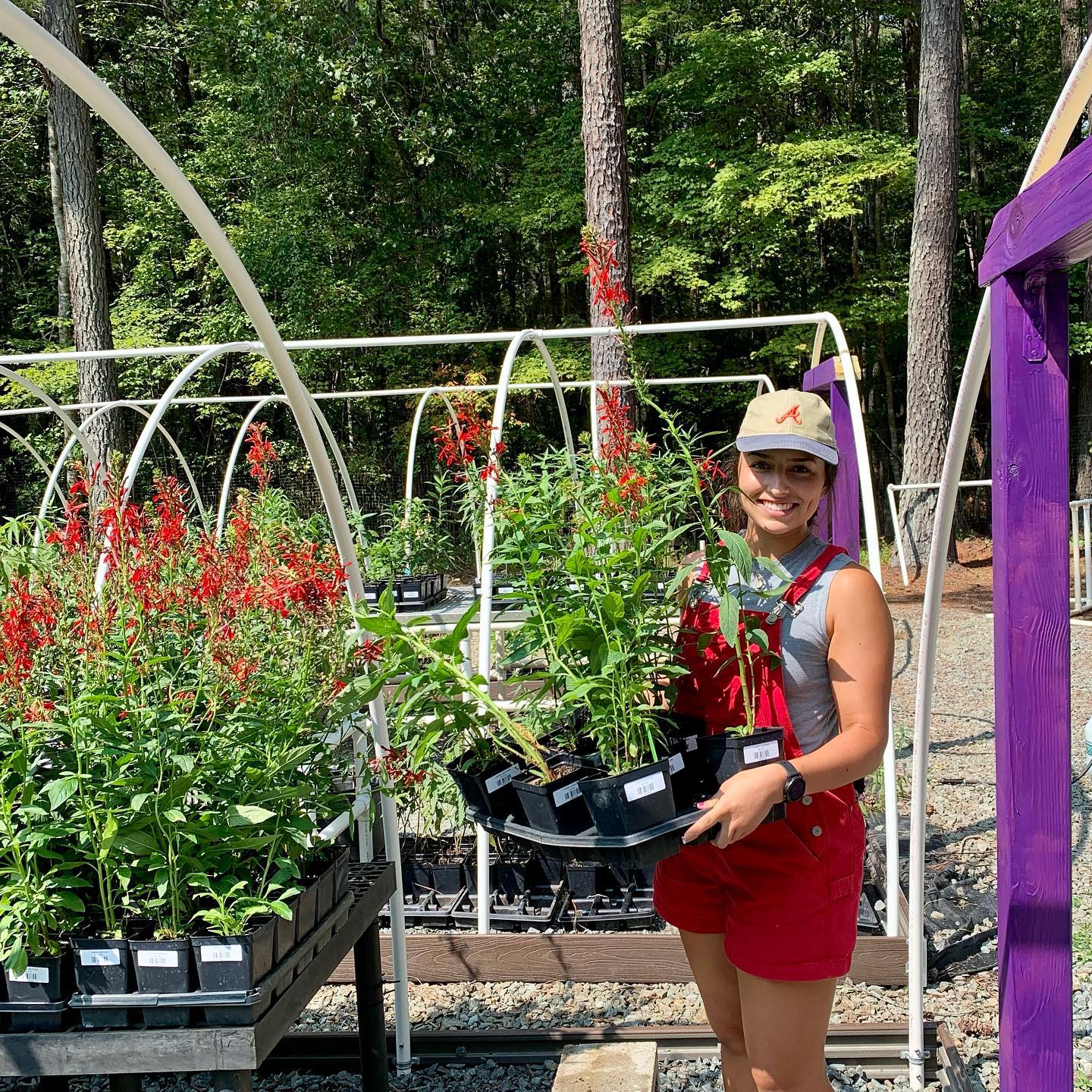 Native Plant Nurseries North Carolina Native Plant Society