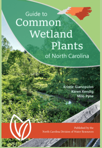 Guide to Wetland Plants