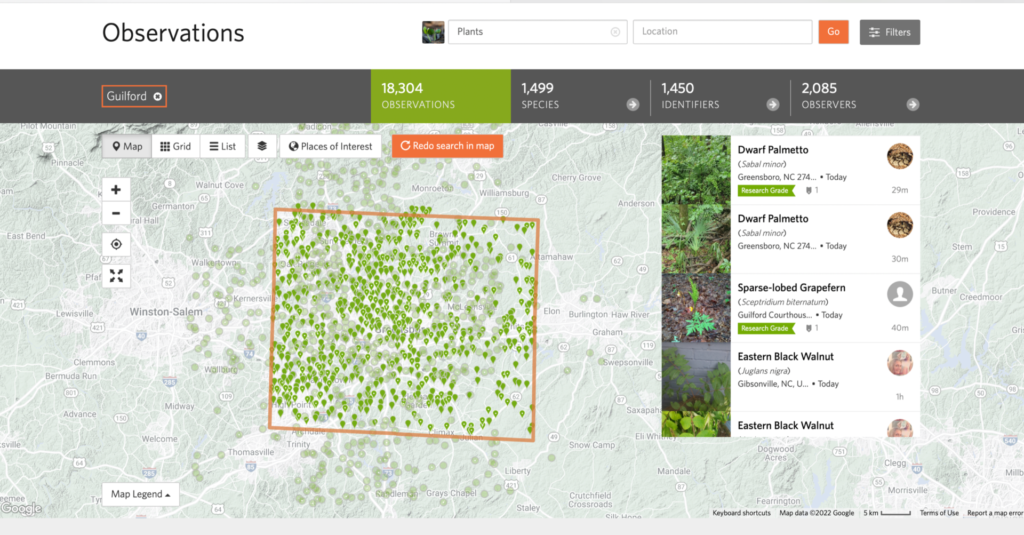 Using iNaturalist to Learn About Native Plants, presented by Ann Walter